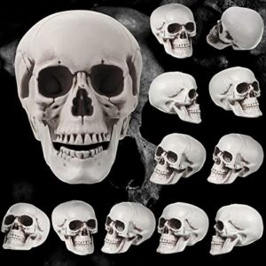 12 Pcs Human Skull Model Halloween Skulls Realistic Skull Decor Large Small Plastic Skull Heads Fake Adult Head Bone for Education Home Table Skeleton Decorations, 7 x 6.7 x 5.5, 2.4 x 1.8 x 1.6 Inch