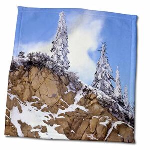 3dRose Oregon, Mount Ashland. Evergreens covered with snow. – Towels (twl-251318-3)