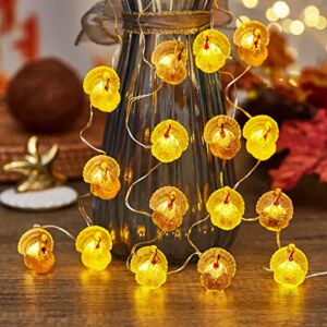 JASHIKA Thanksgiving Turkey Lights Fall Harvest Decoration Fall Lights Autumn 3D Turkey 8.5ft 20 LED Copper Wire USB or Battery Operated Fairy String Lights Indoor Covered Outdoor with Remote Control