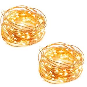 dix-rainbow 2 Pack Fairy Lights Battery Operated 16.5FT String Lights for Bedroom Canopy Christmas Wedding Party, Copper IP65 Waterproof Warm White Fairy Light for Indoor Outdoor…