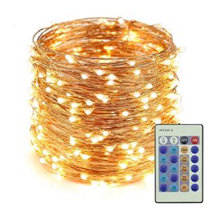 ER CHEN Dimmable LED String Lights,100Ft 300 LEDs Copper Wire Starry String Lights with Remote Control and Adapter for Seasonal Decorative Christmas Holiday, Wedding, Parties(Warm White)