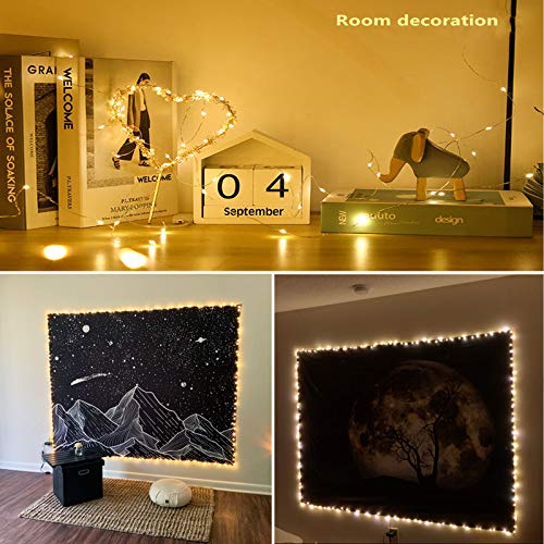 RUICHEN Silver Wire Fairy Lights Plug in 33 Ft 100 LED String Lights with Spool, Warm White | The Storepaperoomates Retail Market - Fast Affordable Shopping