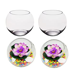 YOUEON 4 Pack 6 Inch Clear Bubble Bowl Glass Vase, Round Glass Bowl Bubble Ball Vase for Fish, Flowers, Glass Fish Bowls, Centerpieces Vase Bulk
