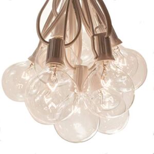 Hometown Evolution, Inc. 10 Foot Outdoor Globe String Lights (10 Foot, G50 Clear – White Wire – 2″ 7 Watt Bulbs)