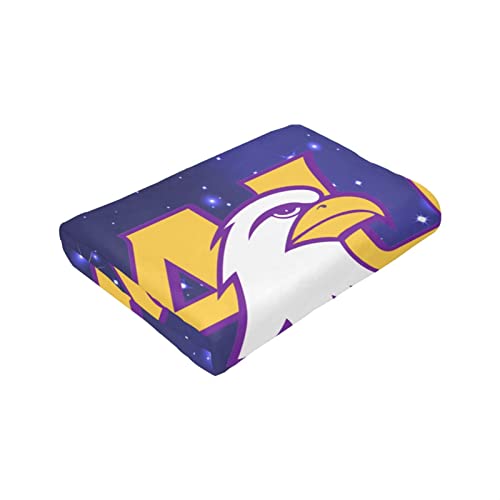 Thgjhya Ashland University Logo Fleece Blanket, Very Soft Microfiber Flannel Blanket for Couch Warm and Cozy for All Seasons | The Storepaperoomates Retail Market - Fast Affordable Shopping
