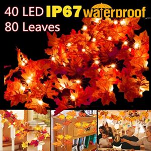 KAZOKU 40 LED Fall Lights with 80 Leaves Maple Leaf Light Thanksgiving and Halloween Decoration String Lights 13ft Fall Garlands String Lights Christmas Decoration