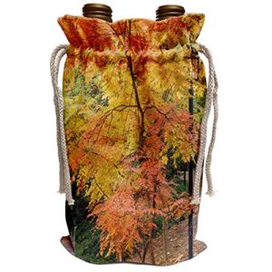 3dRose Danita Delimont – Autumn – USA, Oregon, Ashland. Autumn colors, Lithia Park – US38 BJA0619 – Jaynes Gallery – Wine Bag (wbg_93653_1)