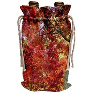 3dRose Danita Delimont – Trees – Oregon, Ashland. Lithia Park maple, chestnut trees – US38 BJA0618 – Jaynes Gallery – Wine Bag (wbg_93652_1)