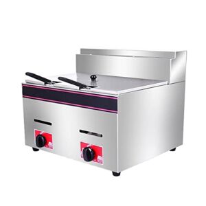 Gas Deep Fryer,Commercial Gas Fryer,Dual Basket Deep Fryer Stainless Steel for Commercial Restaurant (Color : Coal gas)