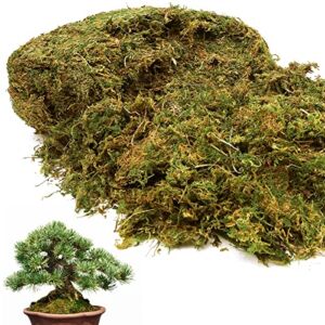 35 OZ Large Capacity Artificial Moss for Potted Plants, Moss for Fake Plants Indoor, Natrual Moss for Home & Office Decor, DIY Crafts, Forest Moss for Hamsters