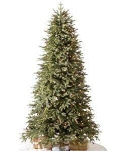 Balsam Hill 6.5ft Premium Pre-lit Artificial Christmas Tree ‘Most Realistic’ Stratford Spruce with Clear Incandescent Lights, a Premium Stand, Storage Bag, Fluffing Gloves, and Extra Bulbs