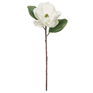 12 Pack: White Magnolia Stem by Ashland®