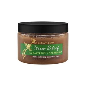 Bath and Body Works Aromatherapy Stress Relief – Eucalyptus + Spearmint Sugar Scrub 13 Ounce