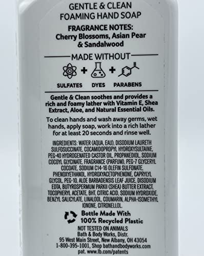 Bath and Body Works Gentle & Clean Foaming Hand Soap, 8.75 fl. oz. (Japanese Cherry Blossom, 2-Pack) | The Storepaperoomates Retail Market - Fast Affordable Shopping
