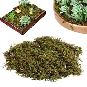 Moss for Potted Plants Flowers Live Plant Fake Artificial Crafts Green Simulation Lifelike Fake Moss Artificial Plants Faux Lichen for Decoration Home Garden（60g Each Pack