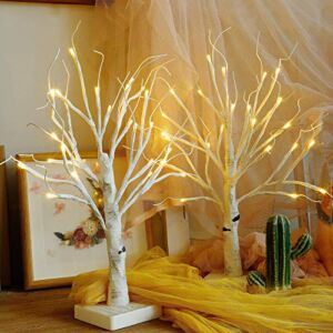 Twinkle Star 24 LED Christmas Tabletop Lighted Birch Tree Battery Operated, Winter Table Decoration Lights for Indoor Xmas Wedding Party Home Bedroom Centerpiece Decor, 2 Pack