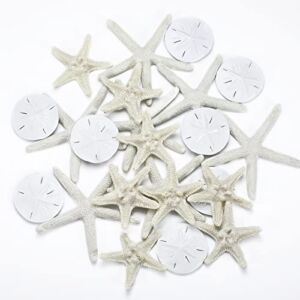 Jetec 24 Pieces Starfish Assorted 3.14 Inch Starfish for Crafts Sand Dollar Ornament White Resin Pencil Finger Starfish Wall Decor Beach Starfish Decor for Wedding Party Decor DIY Craft Supplies
