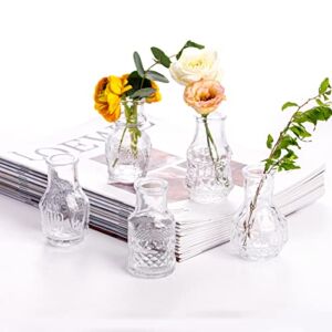 Glass Bud Vase Clear – Mini Vases 5Pcs/Set EylKoi – Bud Vases for Flowers Cute Clear Vintage Small Glass Vases Bud vases in Bulk for Decor, Home Table Centerpieces, Dinning, Wedding
