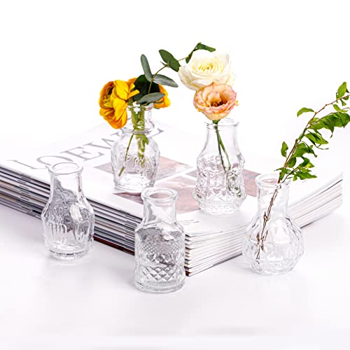 Glass Bud Vase Clear – Mini Vases 5Pcs/Set EylKoi – Bud Vases for Flowers Cute Clear Vintage Small Glass Vases Bud vases in Bulk for Decor, Home Table Centerpieces, Dinning, Wedding | The Storepaperoomates Retail Market - Fast Affordable Shopping