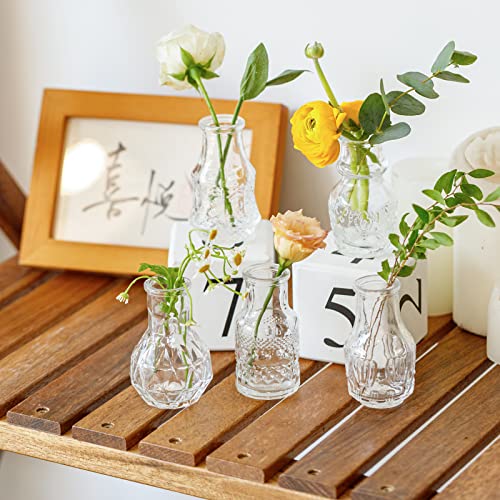 Glass Bud Vase Clear – Mini Vases 5Pcs/Set EylKoi – Bud Vases for Flowers Cute Clear Vintage Small Glass Vases Bud vases in Bulk for Decor, Home Table Centerpieces, Dinning, Wedding | The Storepaperoomates Retail Market - Fast Affordable Shopping