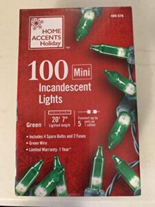 Home Accents Holiday 100-Light Green Mini Light Set