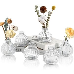 OppsArt Mini Bud Vases for Centerpieces Set of 6 – Tiny Glass Clear Vase for Wedding Decor, Small Farmhouse Flower Vase for Home Office Living Room Dining Table Shelf Decoration, Modern Gift (Clear)