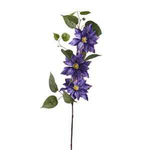 12 Pack: Purple Clematis Stem by Ashland®