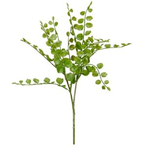 18 Pack: Assorted Fern Pick by Ashland®