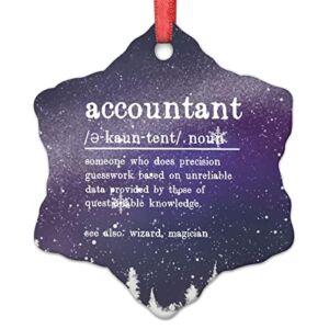 Accountant Christmas Ornaments Accountant Definition Typography Personalized Christmas Ornaments 2022 Accountant Quote Christmas Decorations for Tree Keepsake Gifts for Holiday Souvenir Birthday
