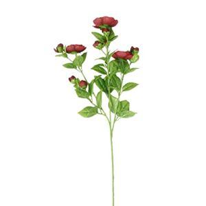 12 Pack: Burgundy Ranunculus Spray by Ashland®