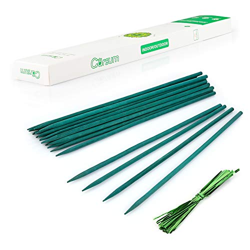 Garsum Green Bamboo Sticks Garden Wood Plant Stakes,Floral Plant Support Wooden,Wooden Sign Posting Garden Sticks,12 Inches 25 Pack | The Storepaperoomates Retail Market - Fast Affordable Shopping