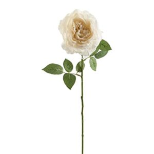 12 Pack: White Sophia Rose Stem by Ashland®