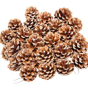 24 Pcs Natural Pine Cones Christmas Rustic Pine Cones Bulk Ornaments with String for Xmas Thanksgiving Fall Party Craft Decorations (White/24pcs)