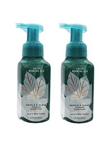 Bath & Body Works Crisp Morning Air, Gentle Foaming Hand Soap (2 Pack)