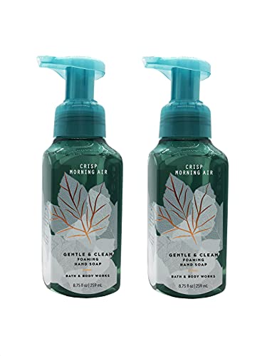 Bath & Body Works Crisp Morning Air, Gentle Foaming Hand Soap (2 Pack) | The Storepaperoomates Retail Market - Fast Affordable Shopping