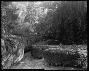 HistoricalFindings Photo: Hickory Hill,Gardens,Hedges,Trees,Ashland,Virginia,VA,Architecture,South,1935 1