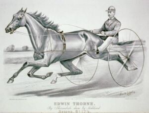 HistoricalFindings Photo: Edwin Thorne: by Thornedale,Dam by Ashland,Photograph,c1882,Horse