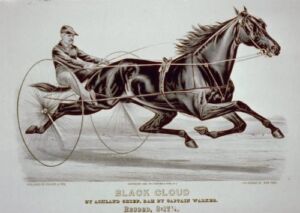 HistoricalFindings Photo: Black Cloud,Ashland Chief,Captain Walker,Harness Racing,Horse Racing,1882