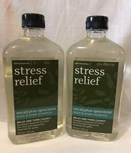 2 Pack Bath and Body Works Aromatherapy Eucalyptus Spearmint Stress Relief Body & Shampoo 16 FL OZ each