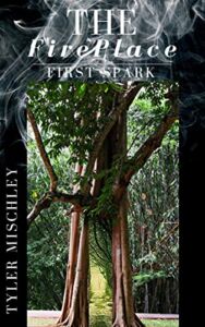 The FirePlace: First Spark