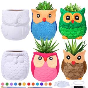 6 Sets DIY Ceramic Owl Succulent Pots Figurines Paint Craft Kit Unpainted Ceramic Bisque Paintable Owl Ceramic Flowerpots with Drainage Hole Ready to Paint for Kids Classroom Craft Project Acticity