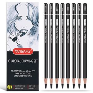 PANDAFLY Professional Charcoal Pencils Drawing Set – 8 Pieces Super Soft, Soft, Medium and Hard Charcoal Pencils for Drawing, Sketching, Shading, Artist Pencils for Beginners & Artists