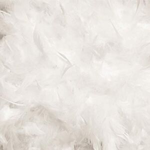 Cozy Glamour Over 50 Different Solid Color Feather Boas 6 Feet Long 50 Gram Weight (White #01)