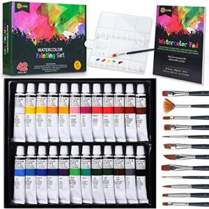 Watercolor Paint Set for Adults – Professional Watercolor Set with Water Color Paints | Watercolor Paint Kit Supplies Painting Set for Adults | Painting Kit For Adults, Kids and Beginners
