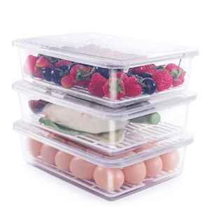 77L Food Storage Container, (3-Pack) Plastic Food Containers with Removable Drain Plate and Lid, Stackable Portable Freezer Storage Containers – Tray to Keep Fruits, Vegetables, Meat and More (Large)