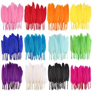 Coceca 240pcs Colorful Goose Feathers 4-6 Inches Natural Feathers for DIY Crafts