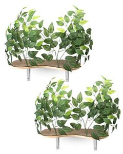 On2Pets Luxury Cat Canopy Shelves, 15″ H, 10 LBS, Green / Brown