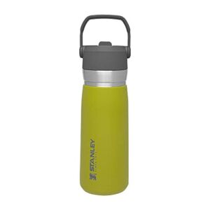 Stanley IceFlow Stainless Steel Bottle with Straw, Vacuum Insulated Water Bottle for Home, Office or Car, Reusable Leakproof Cup with Straw and Handle Aloe, 22OZ