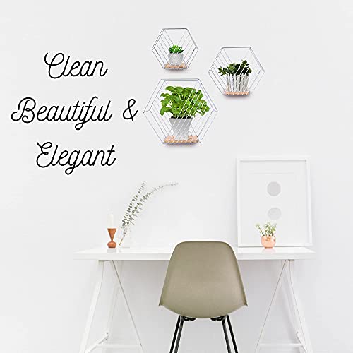 ZBD GOODS Octagon Shelves, Farmhouse Storage Shelves for Wall, Hexagon Floating Shelves, Bedroom, Living Room, Bathroom, and Kitchen, Gold Shelf | The Storepaperoomates Retail Market - Fast Affordable Shopping