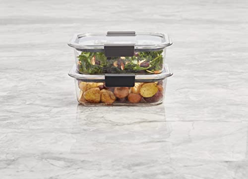 Rubbermaid 10-Piece Brilliance Food Storage Containers with Lids for Lunch, Meal Prep, and Leftovers, Dishwasher Safe, 3.2-Cup, Clear/Grey | The Storepaperoomates Retail Market - Fast Affordable Shopping